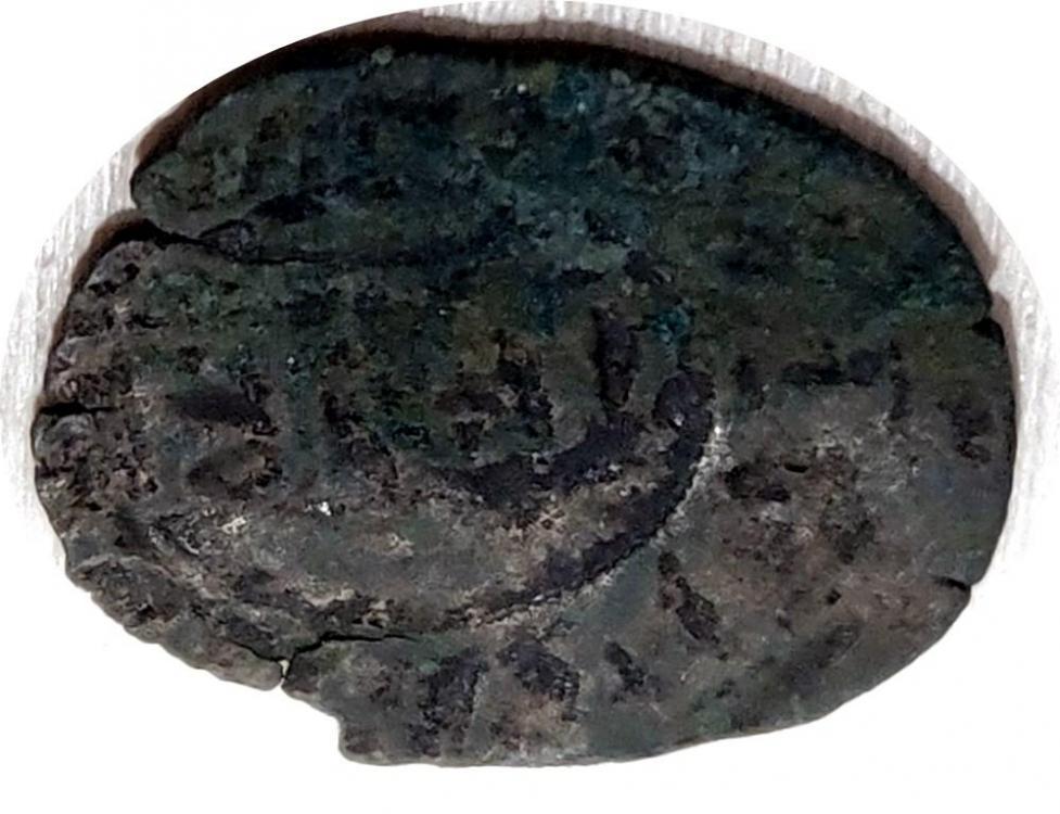 28170b.jpg