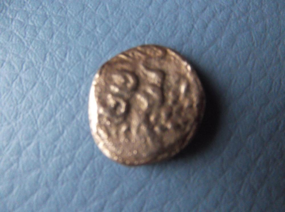 DSCF5026.JPG