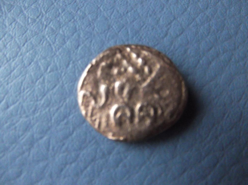 DSCF5031.JPG