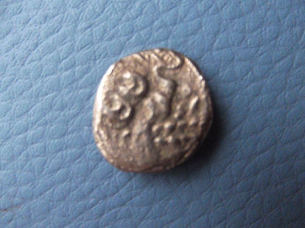 DSCF5033.JPG