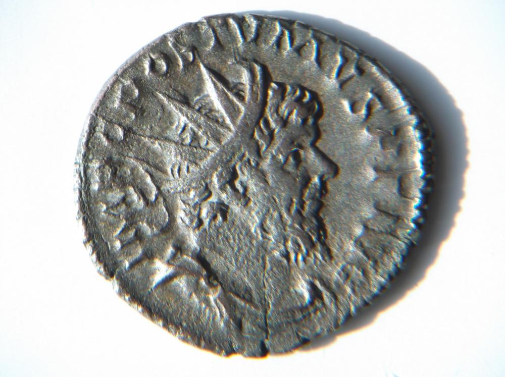 DSCF5107.JPG