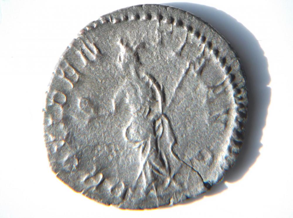 DSCF5108.JPG