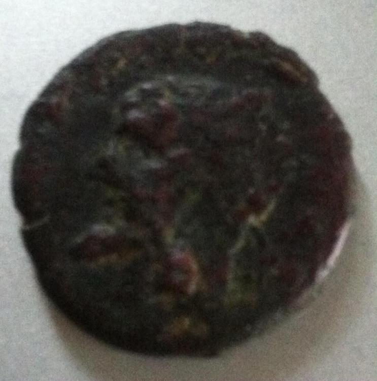 photo 2.JPG