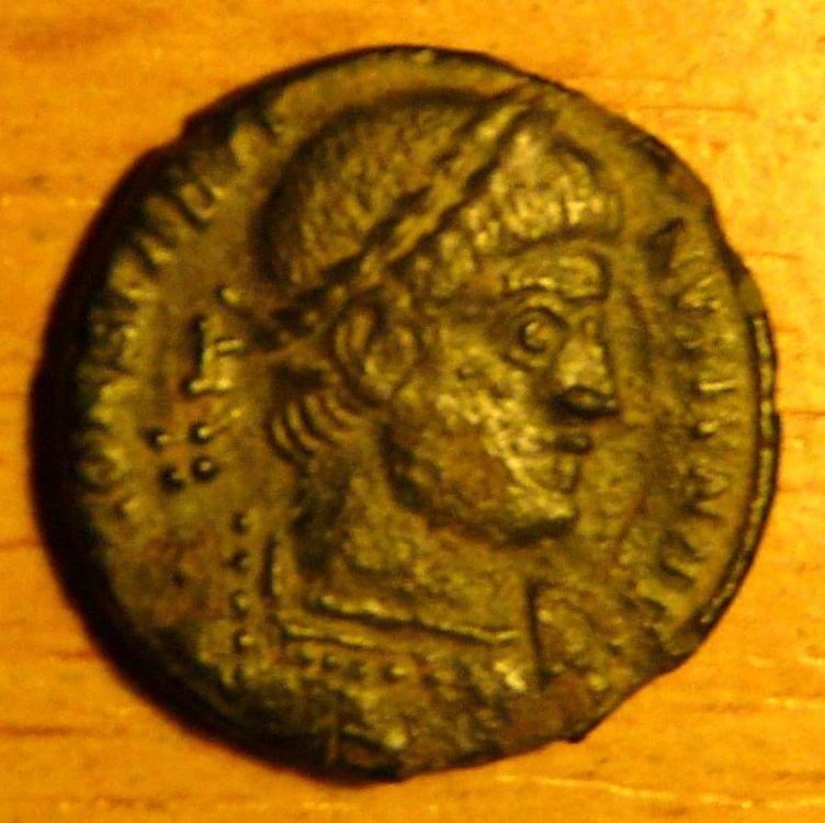 P1060298.JPG