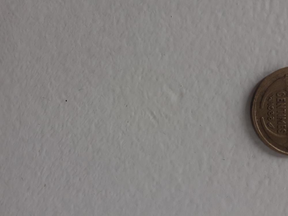 20200420_142421.jpg