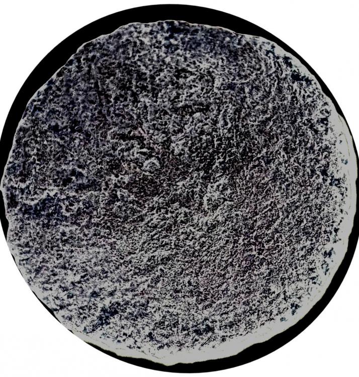 30738an.jpg