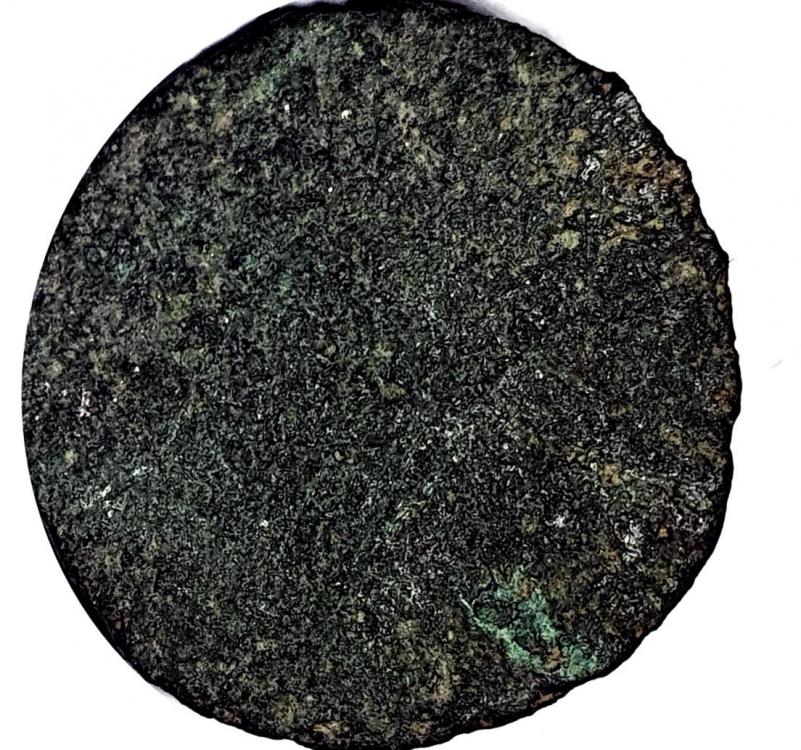 30738b.jpg