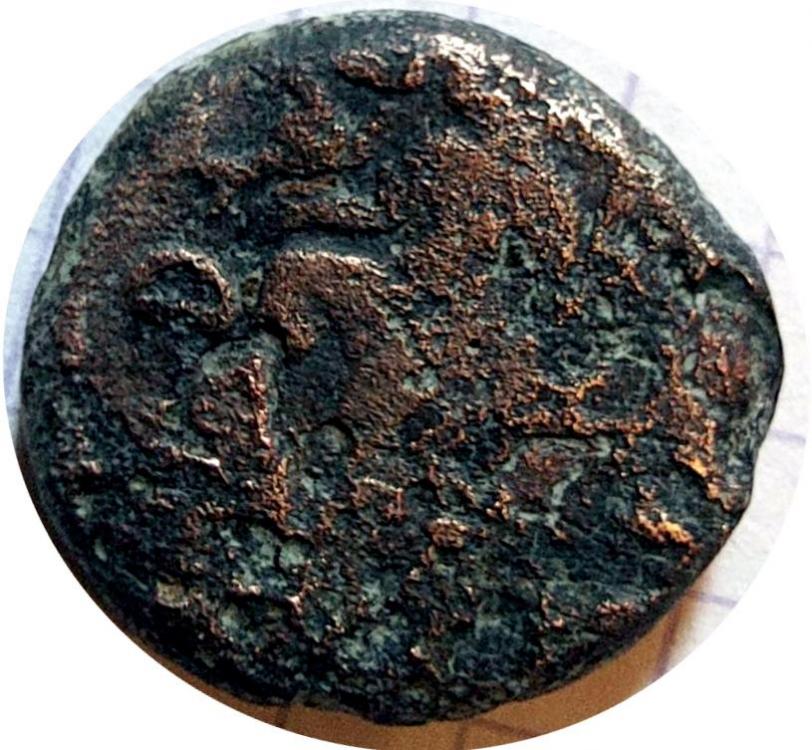 30928b.jpg