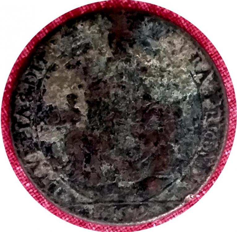 31254a.jpg