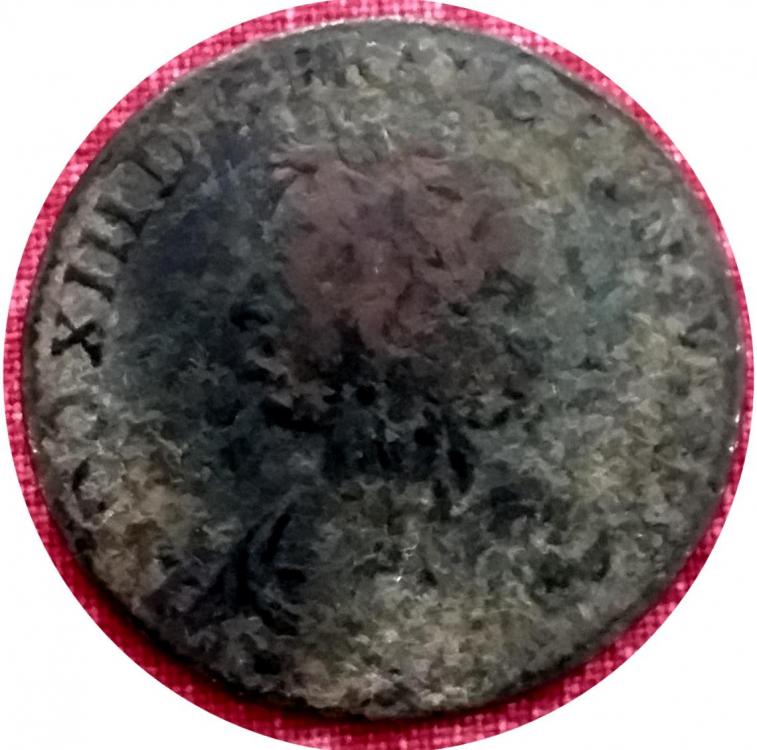 31254b.jpg