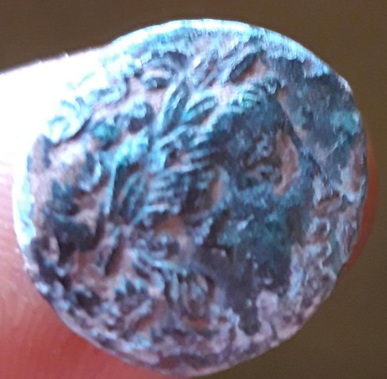 20201001_141617.jpg