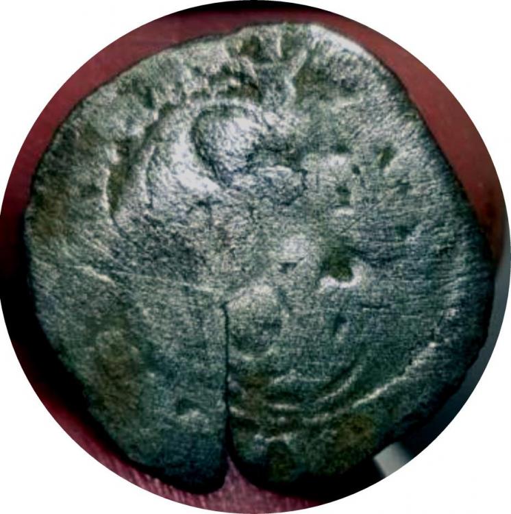 35984a.jpg
