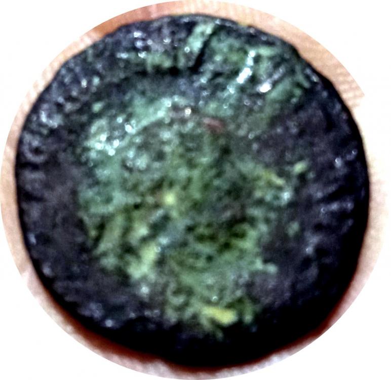 36172a.jpg