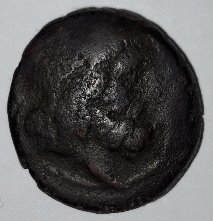20201225_092251.jpg