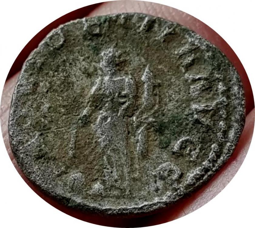 37253b.jpg