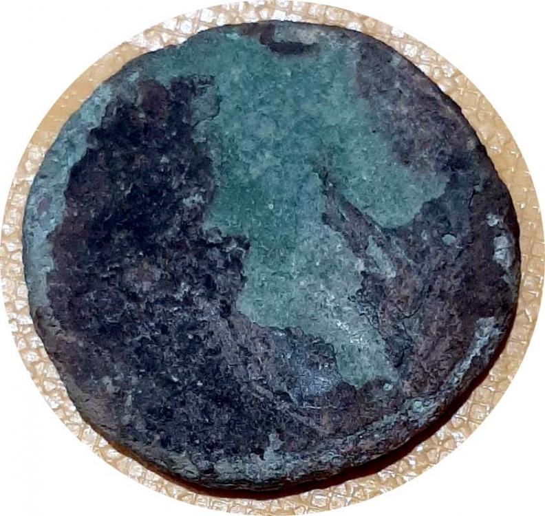 37873b.jpg