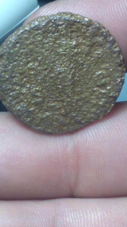 IMG_20210210_194704339[1].jpg