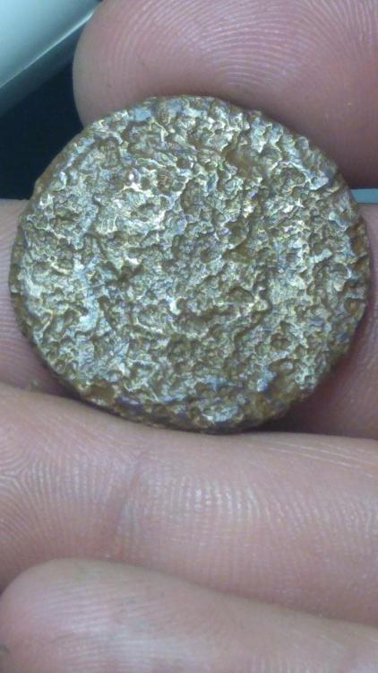 IMG_20210210_194650298[1].jpg