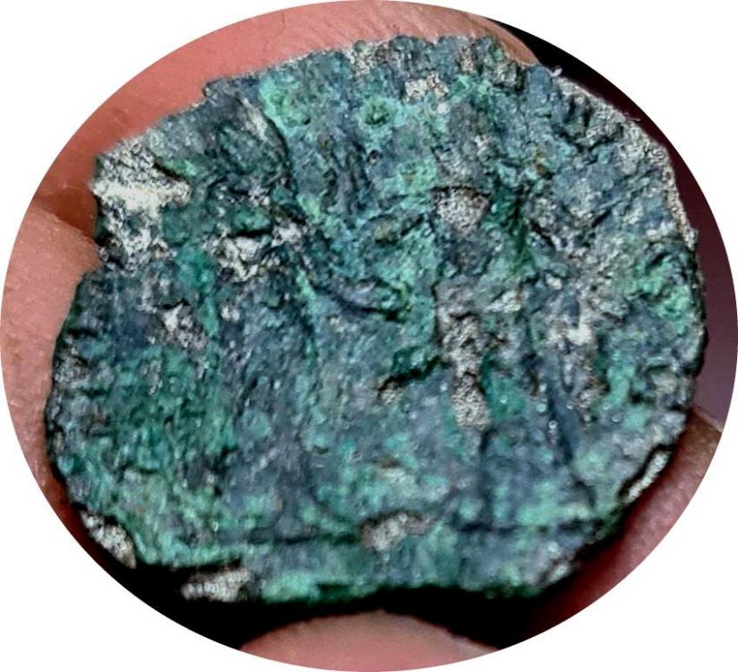 41260c.jpg