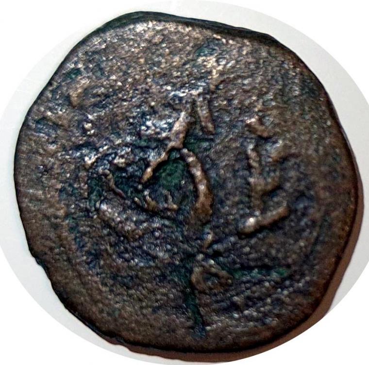 41294b.jpg