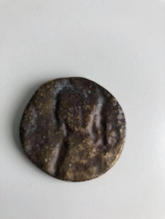 follis.jpg
