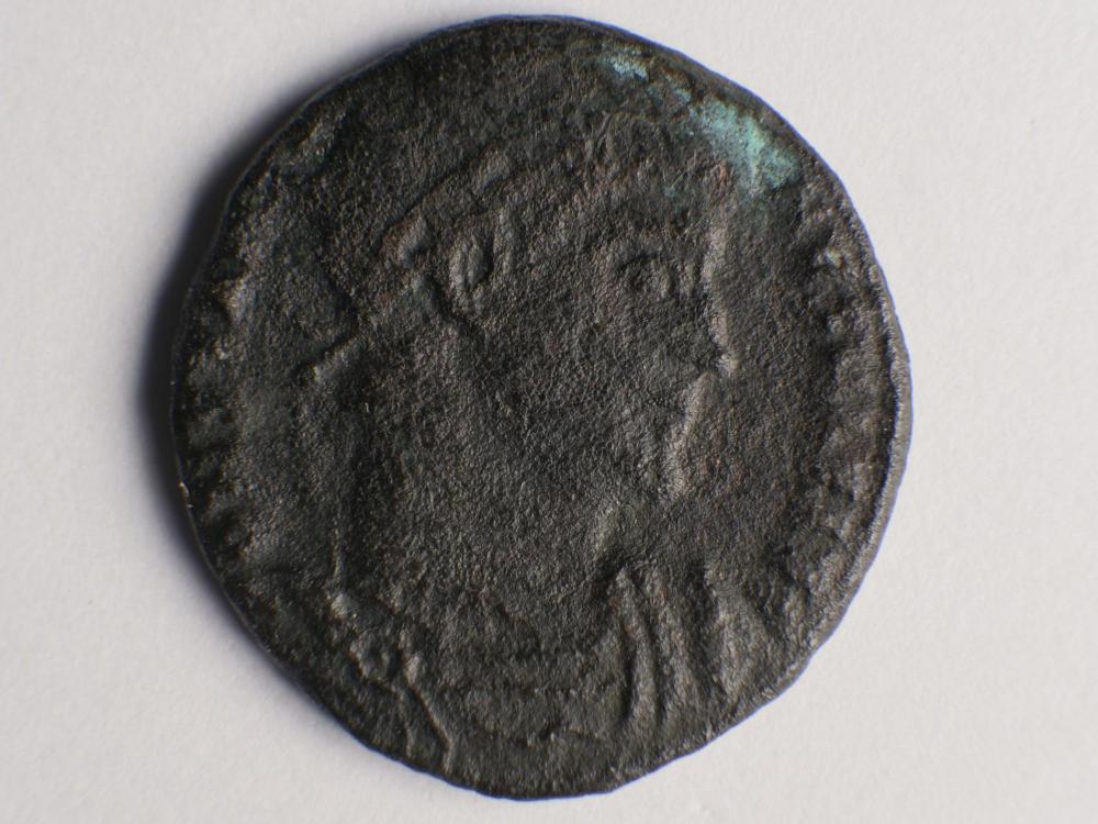 P1188601.JPG