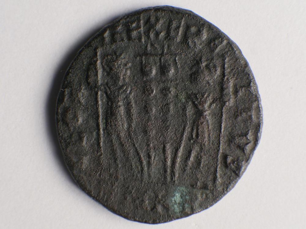 P1188602.JPG