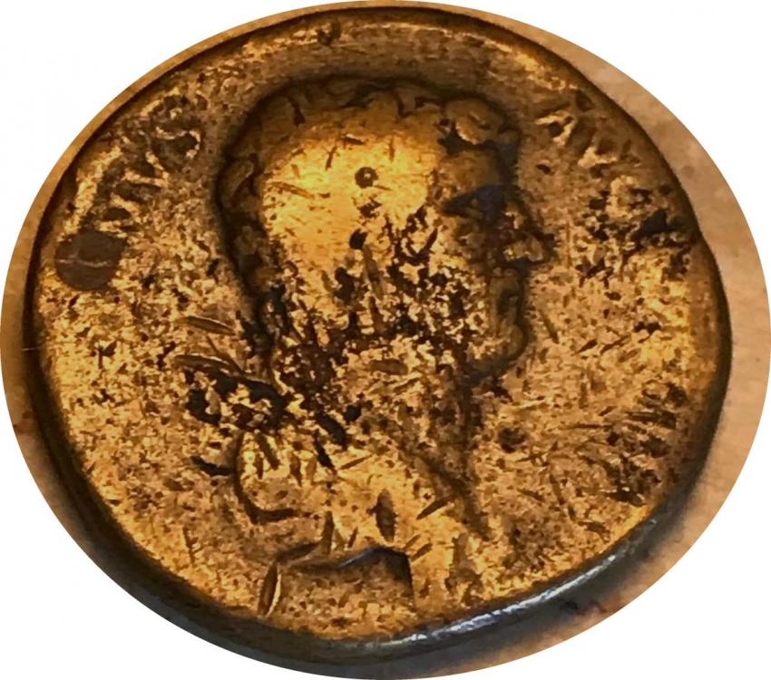 43834a.jpg