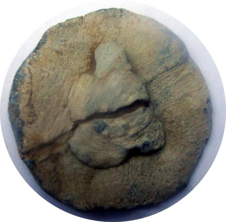46434b.jpg
