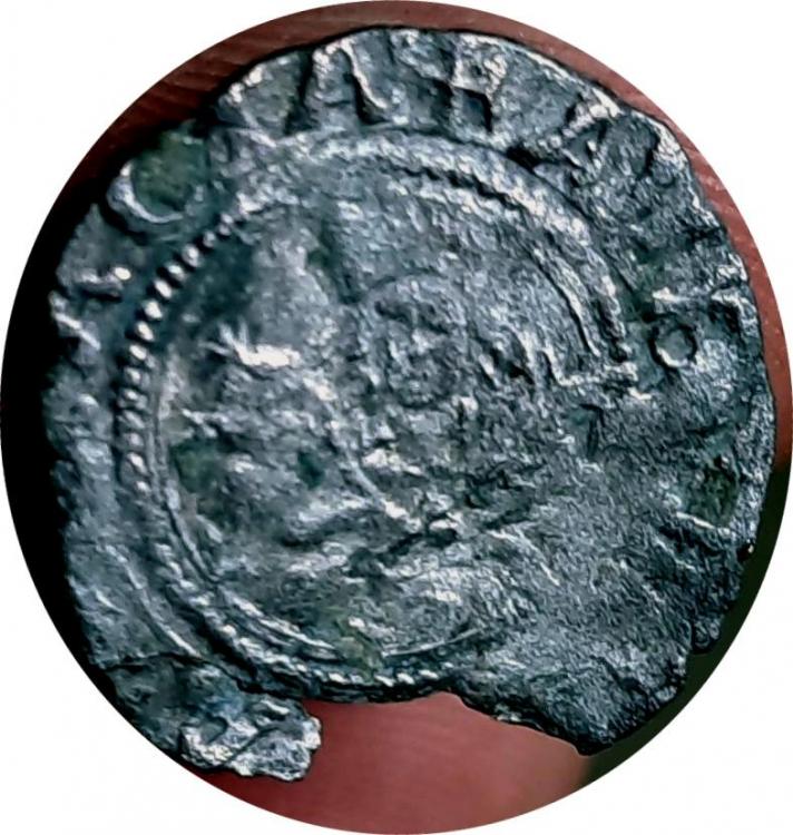 49232a.jpg