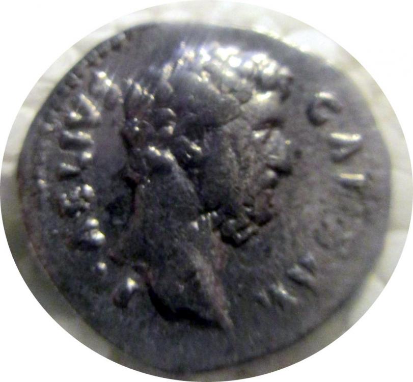 52236a.jpg