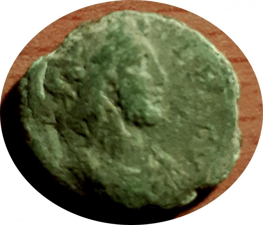 58589a.jpg
