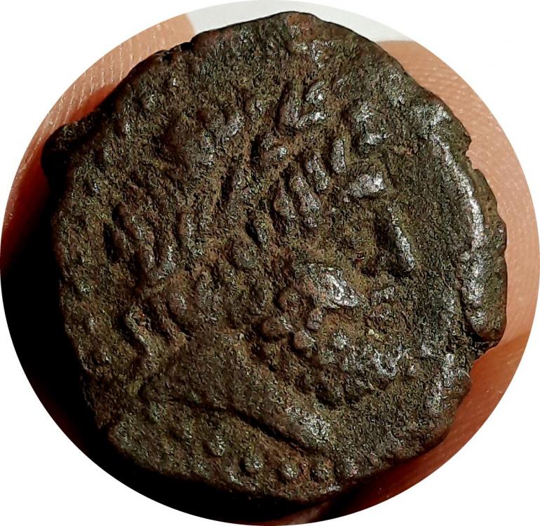 61777a.jpg