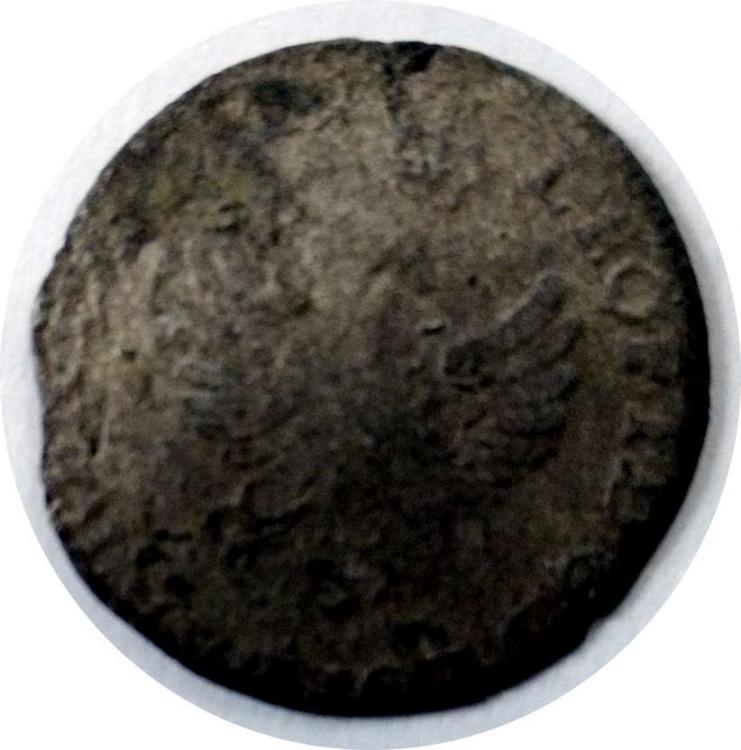 69001b.jpg