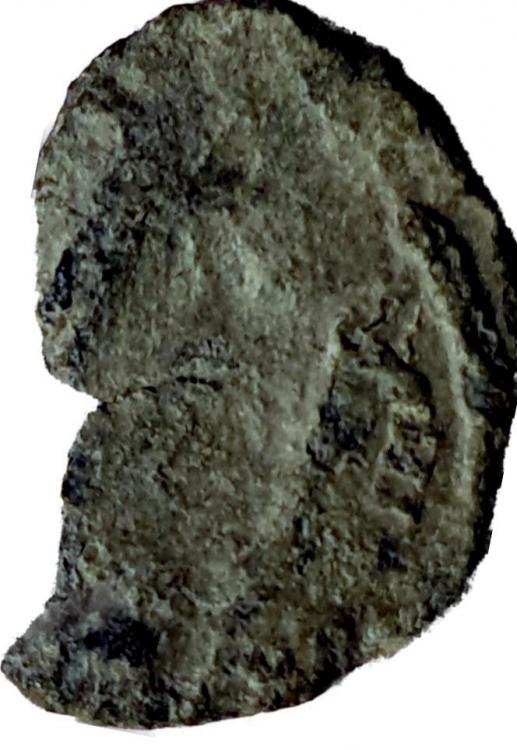 72078b.jpg
