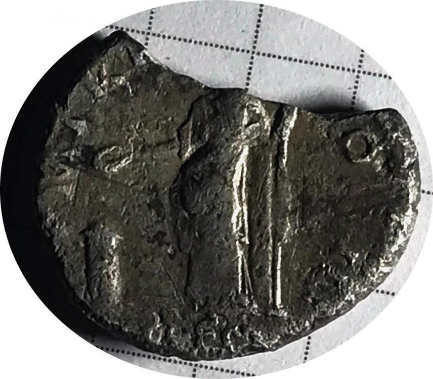 73384b.jpg