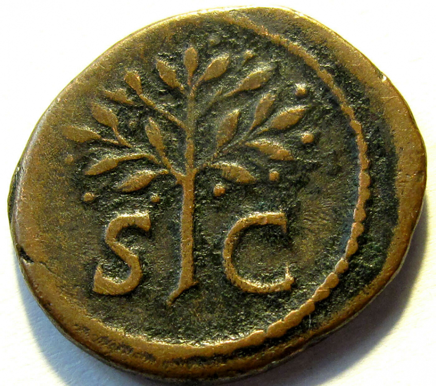 Bronze Domitien à identifier 02.png