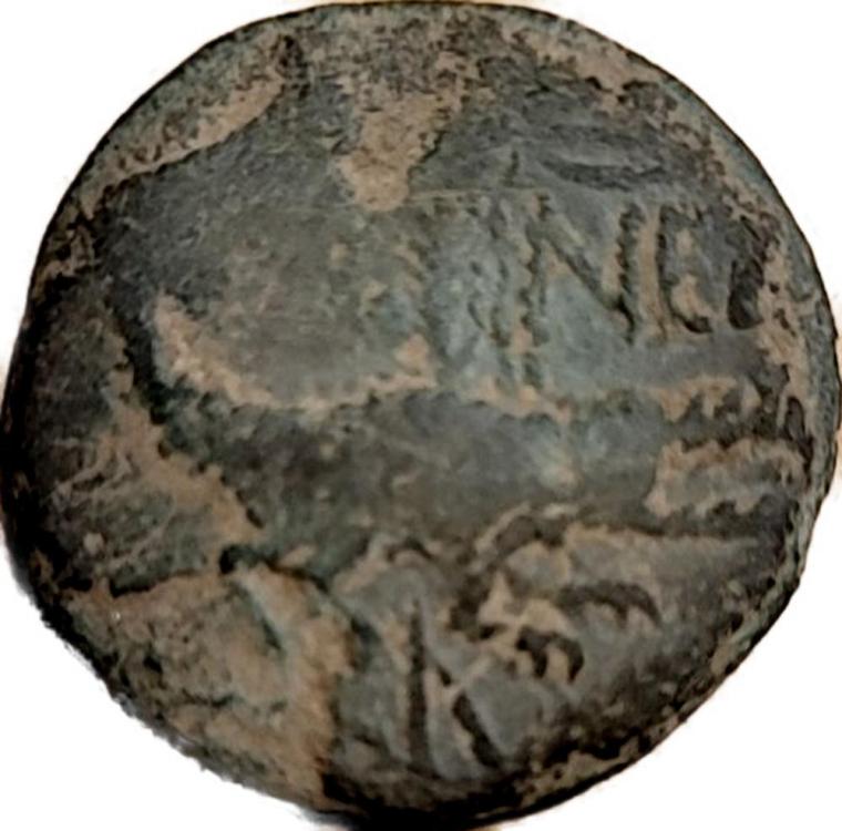 73471a.jpg