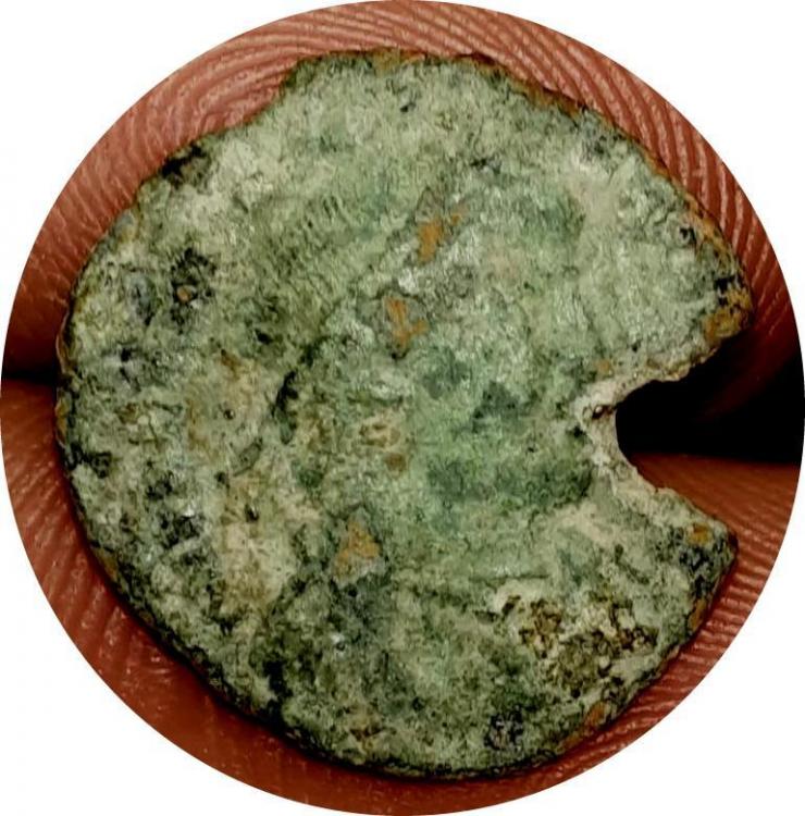 73552a.jpg