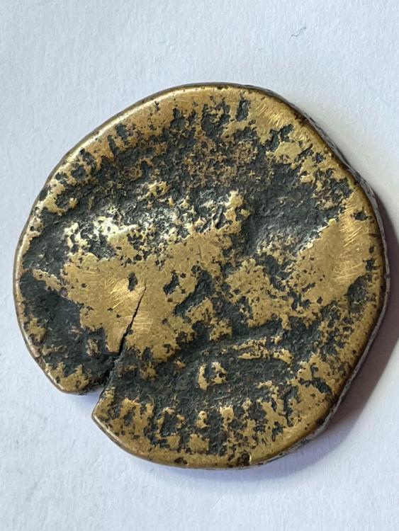 IMG_0733.JPG