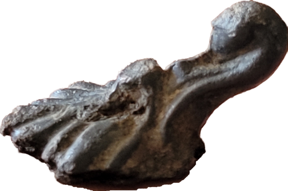 20220428_164912.png