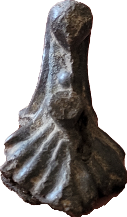 20220428_164933.png