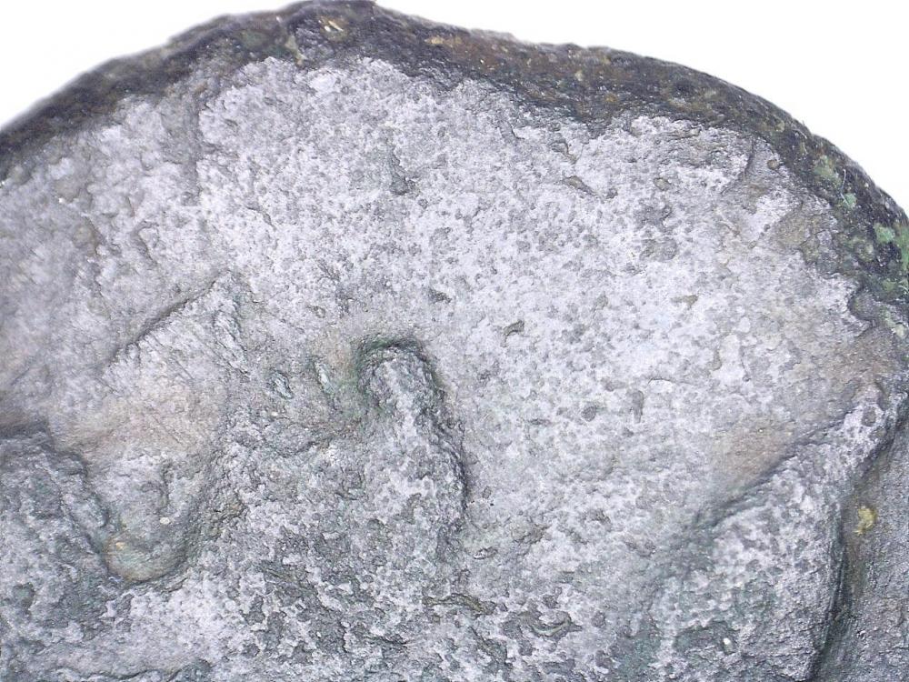 22625141428547.jpg