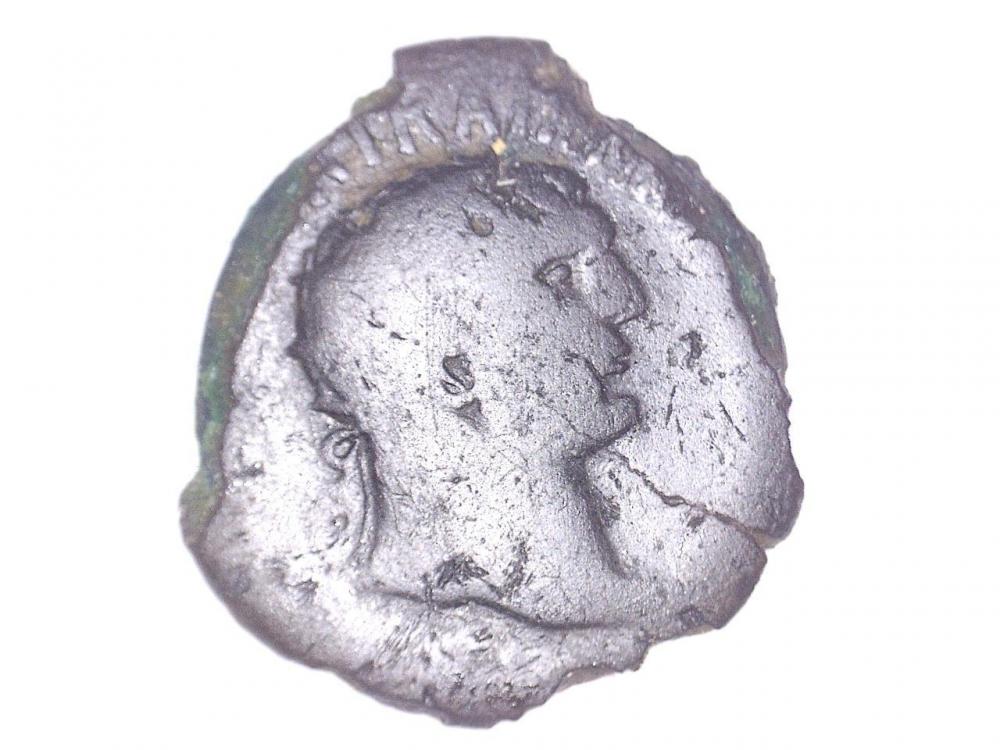 22625151557614.jpg