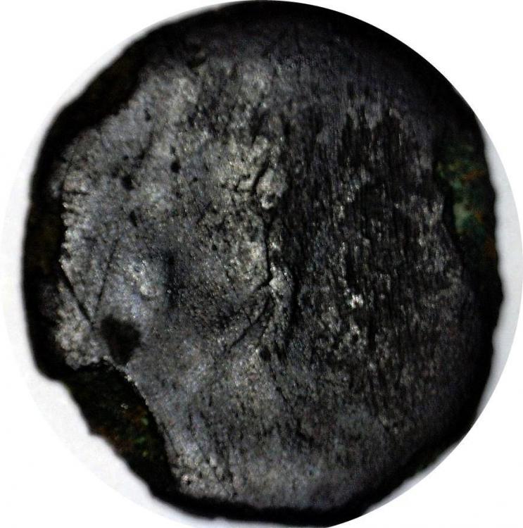 74077b.jpg