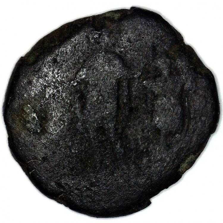74078b.jpg