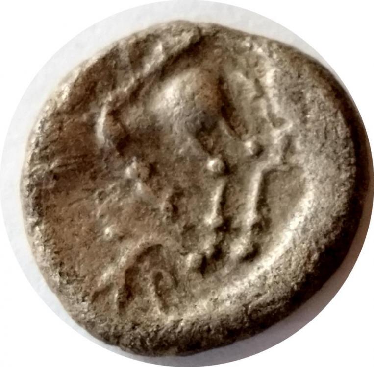 74114b.jpg