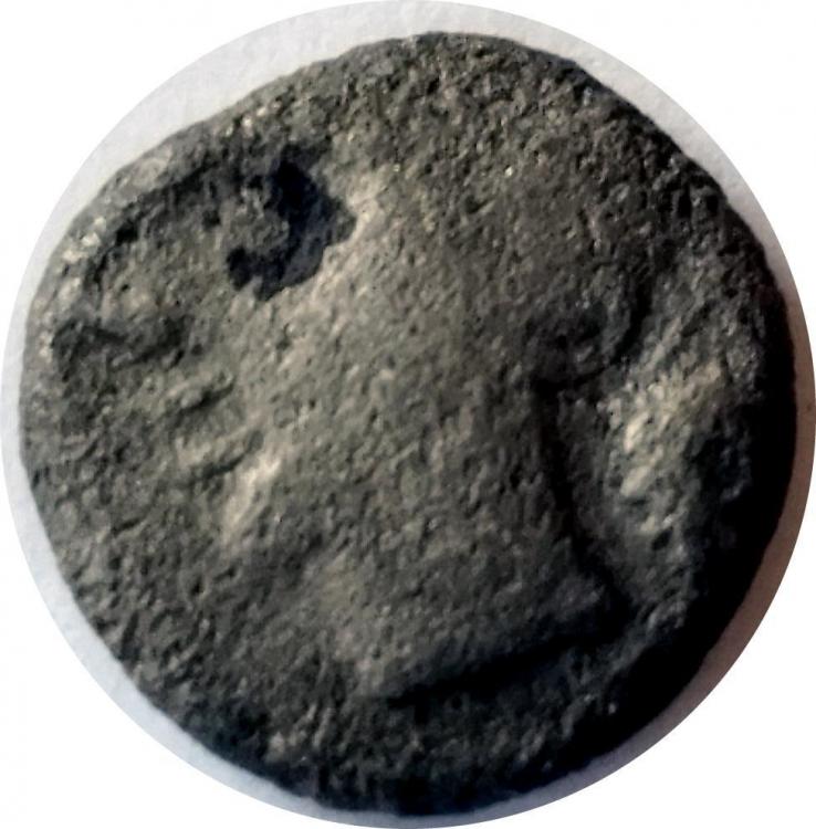 74115a.jpg