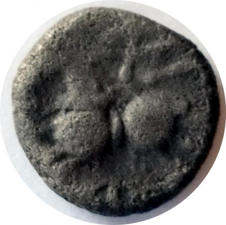 74115b.jpg