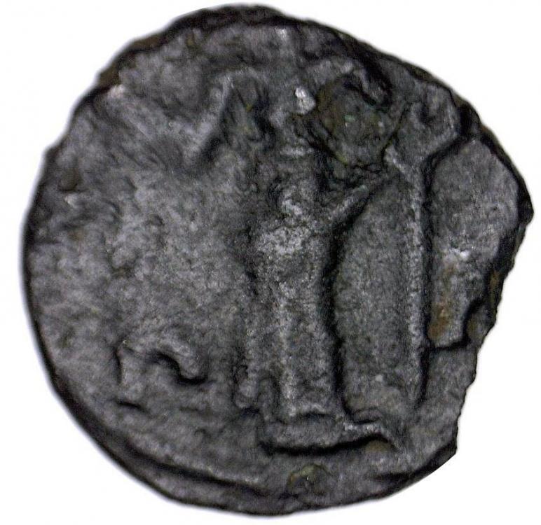 74128b.jpg